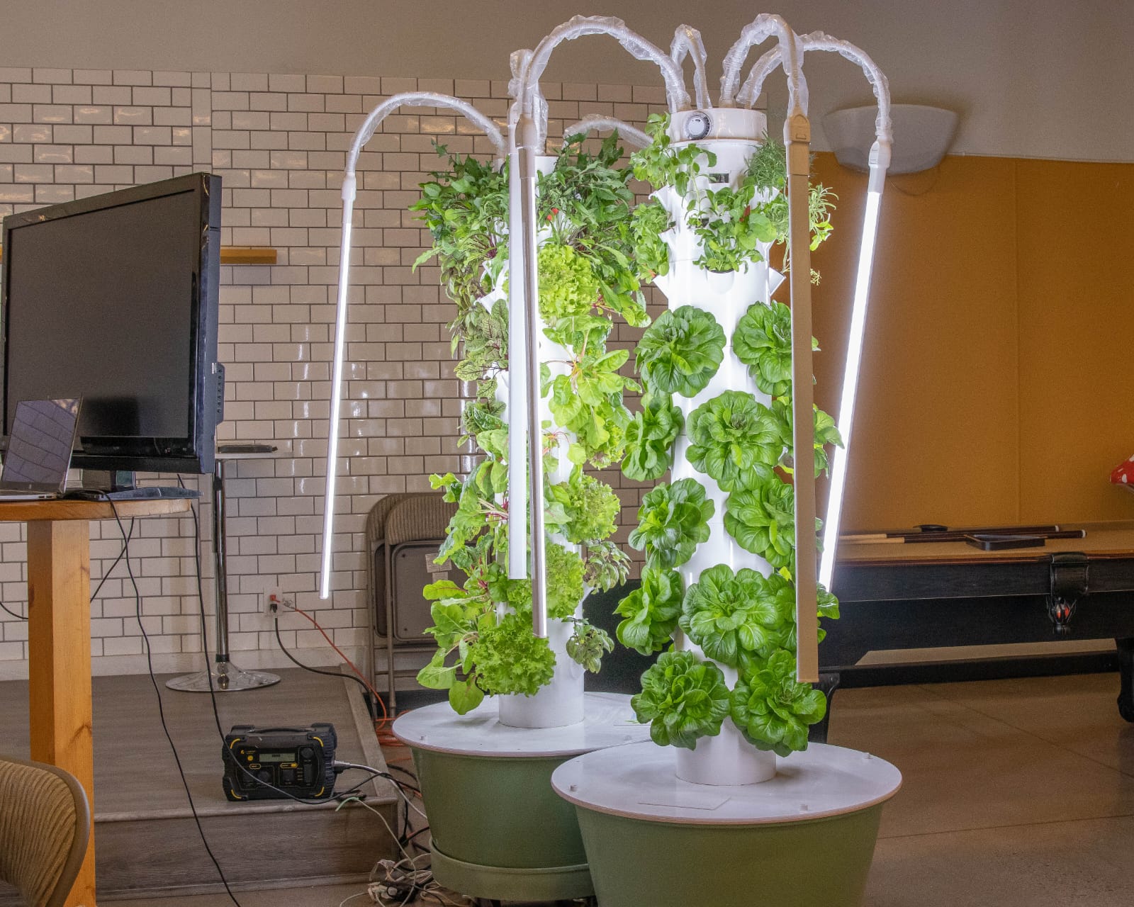 GreenSideUp Vertical Farm