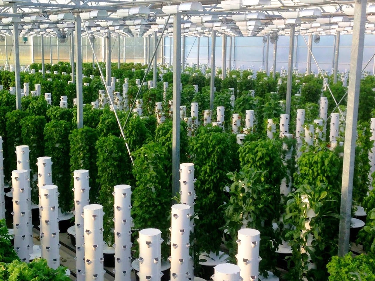 Food Systems Development